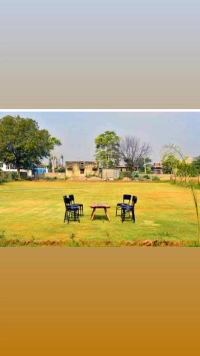 Ranthambore Bagh niwas