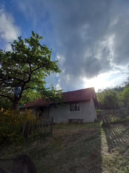 Bistro VILLAGE HOUSE