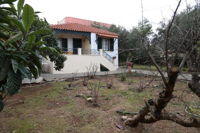 Babis Garden Salamina