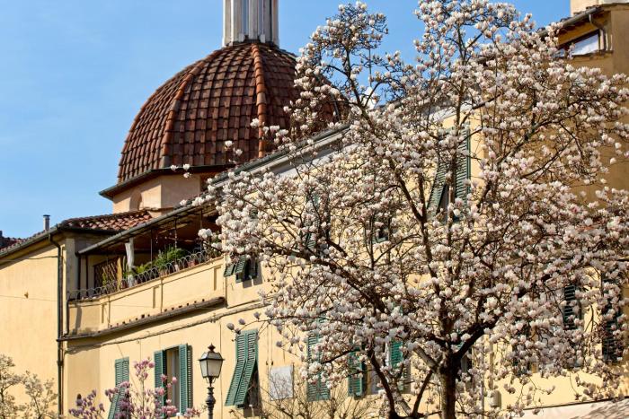 Casa San Girolamo Historic flat with cosy Terrace in Luccas city Centre