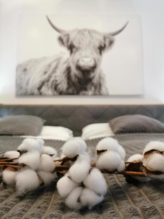 SmartApart - Design Apartment - Favorite Place - Full Equipment - Public Transport