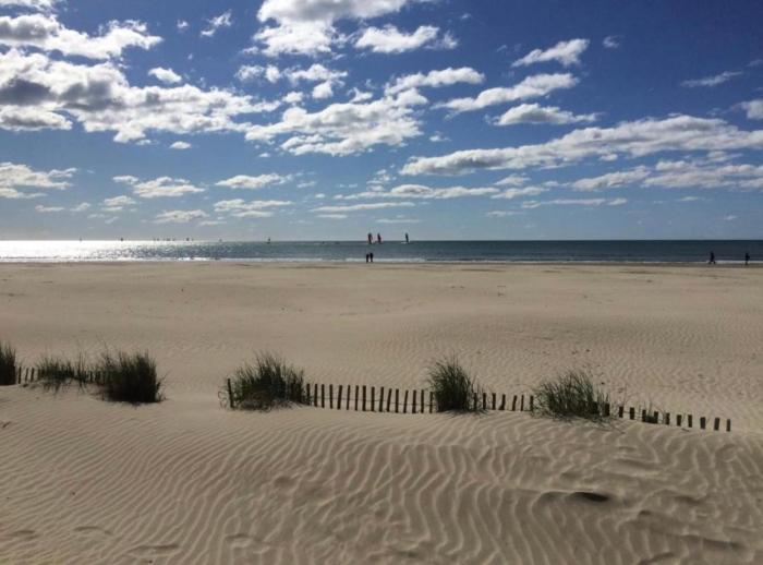 Studio Cosy en bord de mer