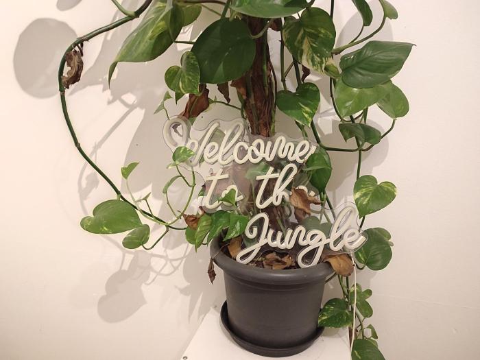 Jungle in Kelkheim for 4 Persons 24 h check in