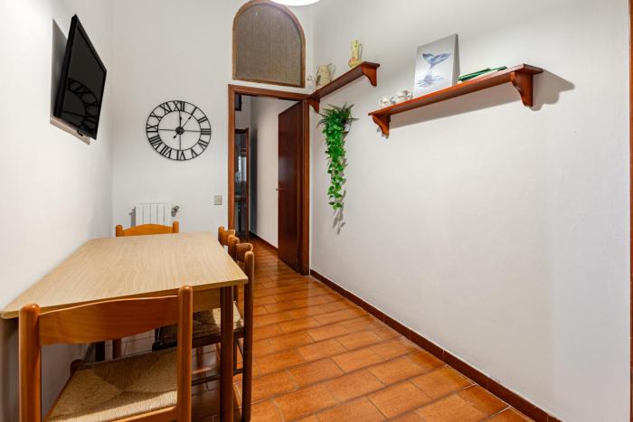 Cozy house with garden in downtown Pisa