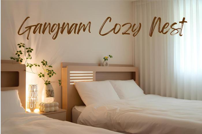 강남 Cozy Nest #Gangnam trip #COEX #서울윈터축제#DDP건축투어#한강트래킹#강남세브란스병원#대치동##감성숙소#정릉#인사동#명동#서울타워
