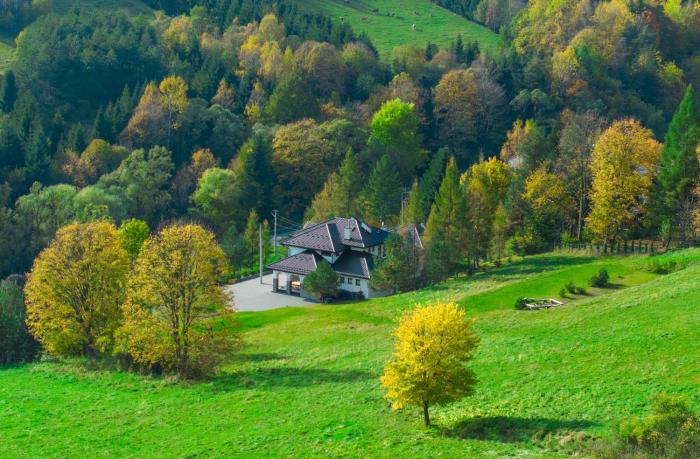 Honey Inn - Domek na 12 osób