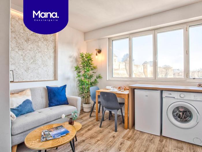 Le Nid - Hypercentre - Vue sur le Château