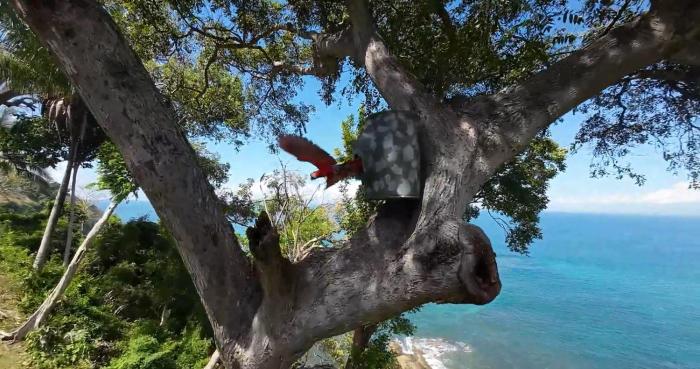 Childhood dream house #1 - Private Pool Ocean View