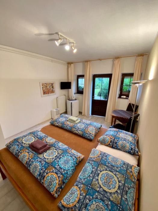 Pet friendly apartment