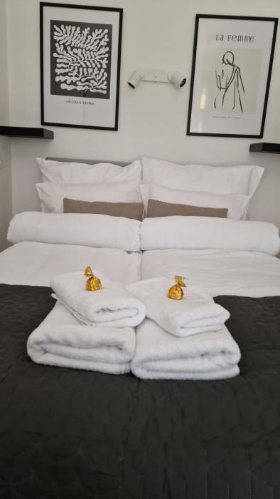 TAS Vas - Charming Apartments in Budapest