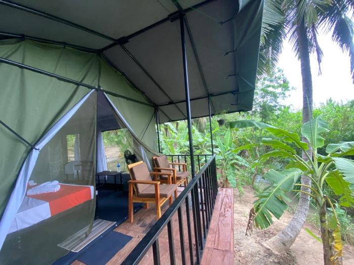 coconut camp udawalawe