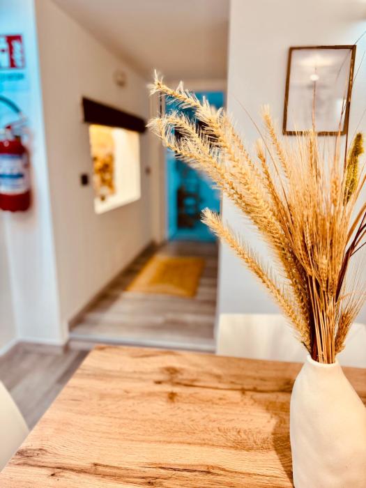 Centro Storico Palermo Stationsuite N5 WiFi Tutto a Piedi!