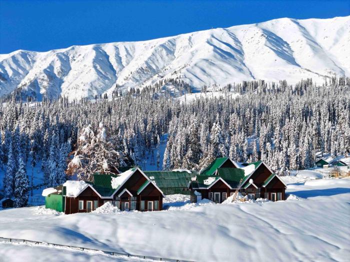 Gulmarg Woods By Stay Pattern
