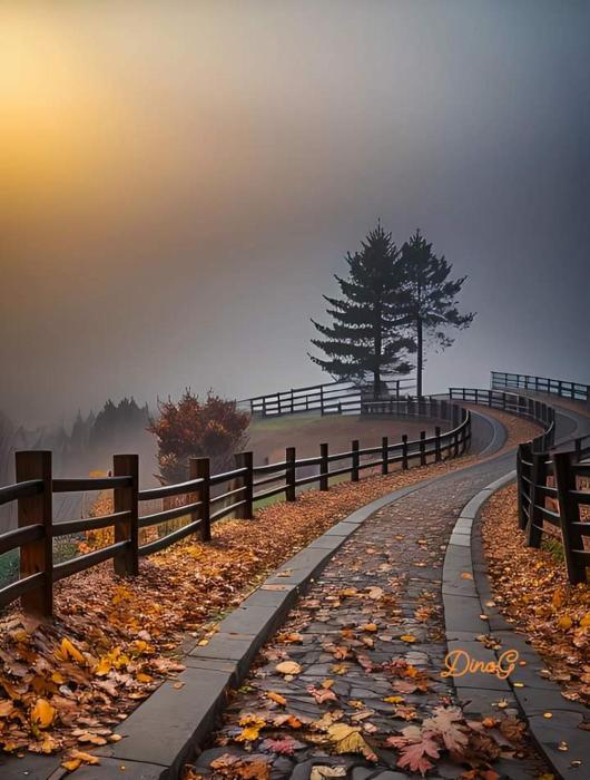 Sangoma Mama Ranaka Traditional Spiritual Healer Welkom Bloemfontein