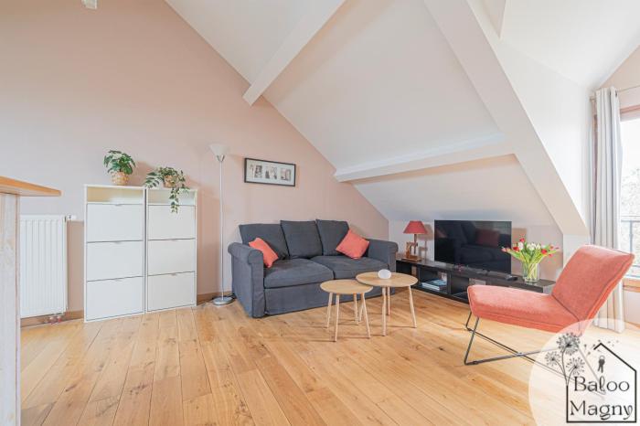 Le Rêve de Fantasia - Enchantement à Disneyland