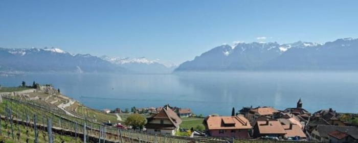 Superbe Studio en Plein Centre à Lausanne Gare