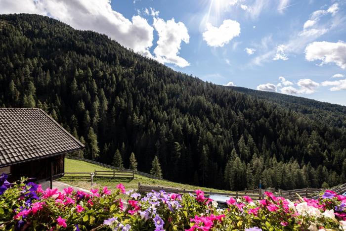 Apt Talblick Hinterproslhof