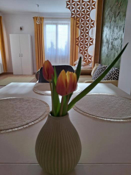 Pensiunea Casa Dorneană