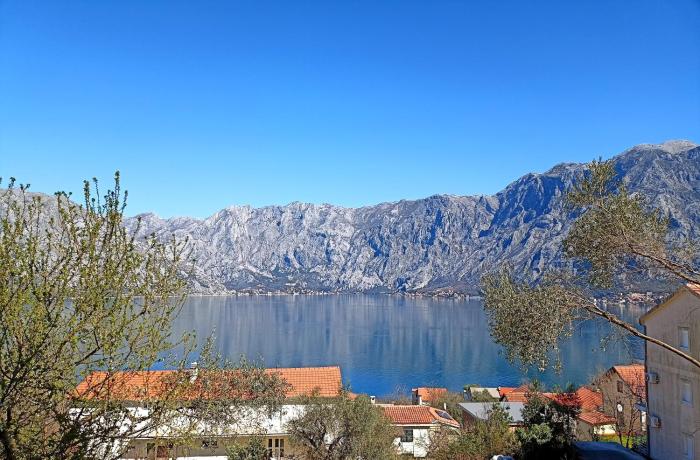 Vibrant BayView Apartment Kotor