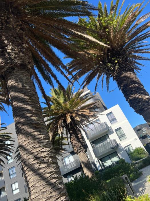 Nine Palms Studio Unit Block 2