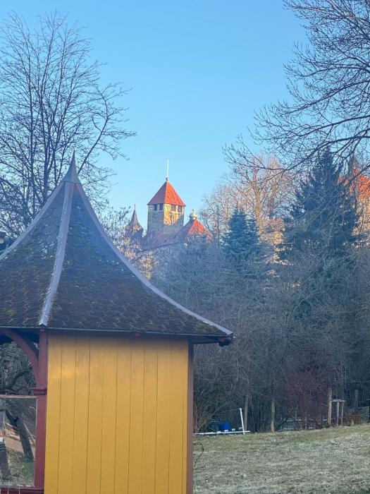 Naturnahe Ferienwohnung