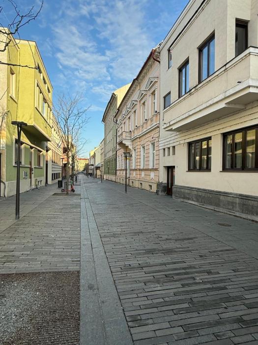 Large studio in city center with nice wooden floor