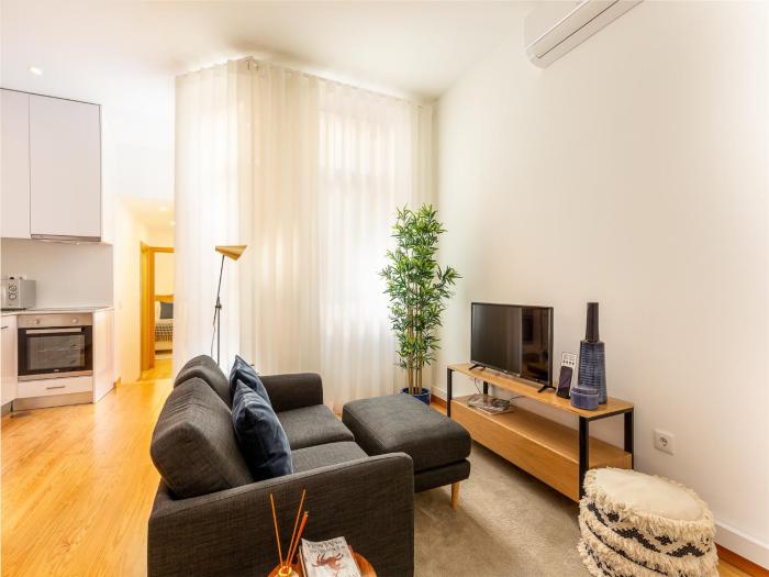 Well-equipped apartment in Oporto