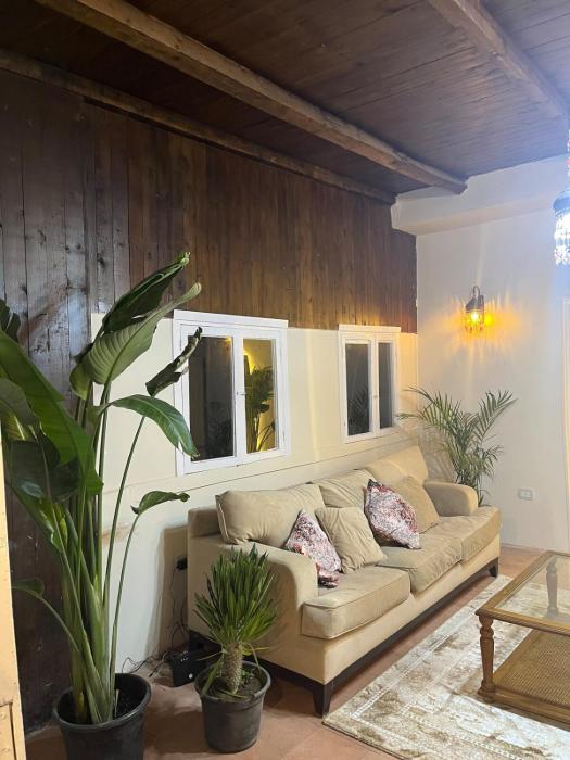 Downtown Lungs Rooftop