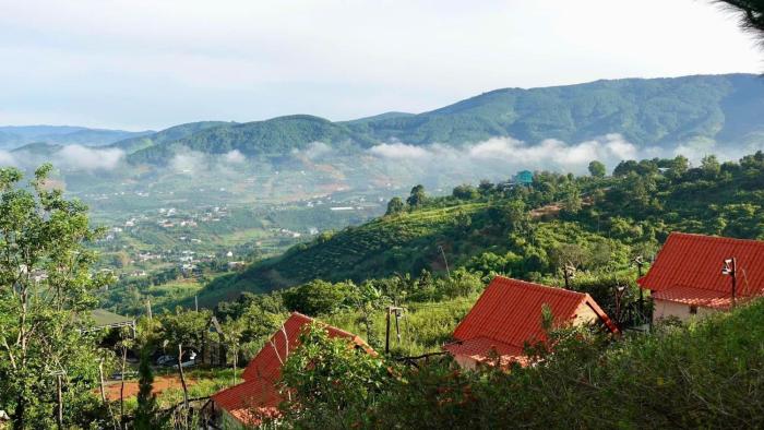 Dreamers Garden Farmstay