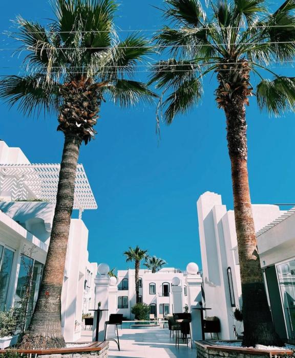 Yalinn Boutique Hotel