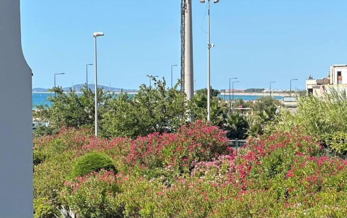 La petite Venise de lHérault