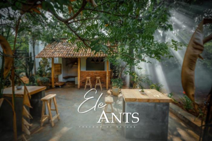 Ele Ants