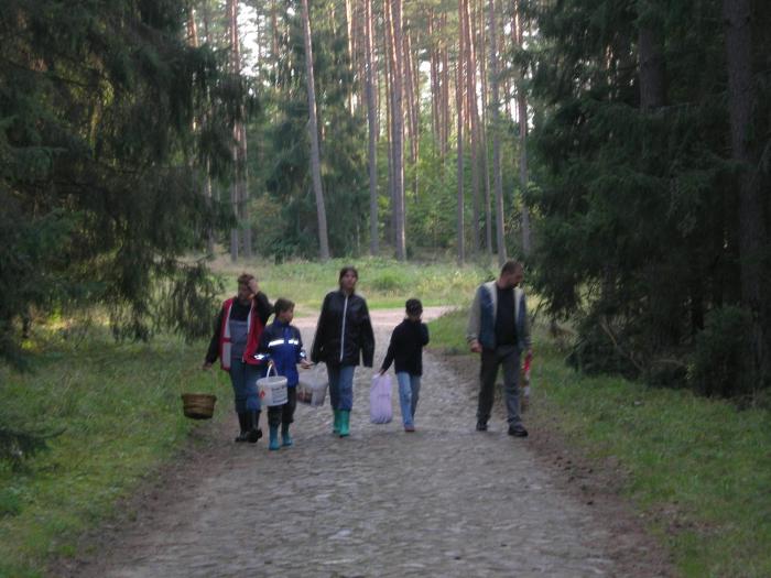 Gościniec Pogobie