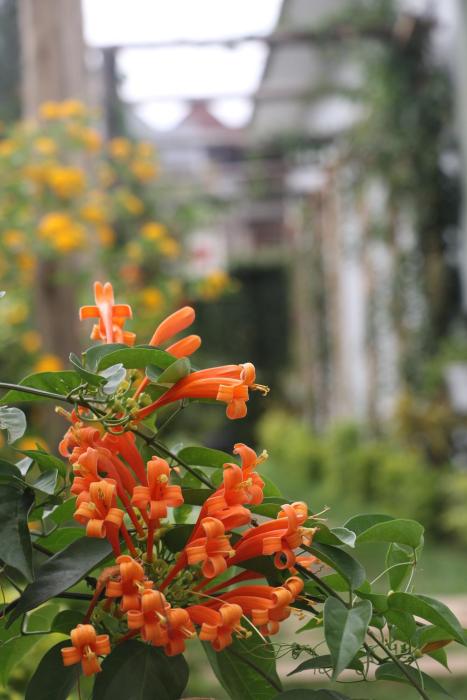 At Home Suites, Moshono Garden Arusha