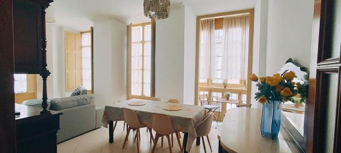 Centro de Malaga Fernan Gonzalez