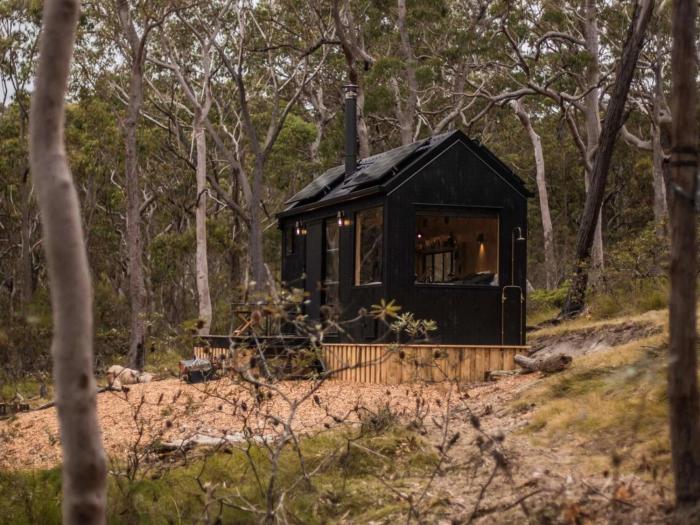 Secluded Forest Cabin with No Reception - Mira