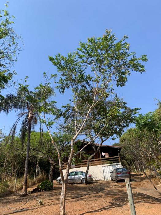 Casa Madeira em Santo hilario