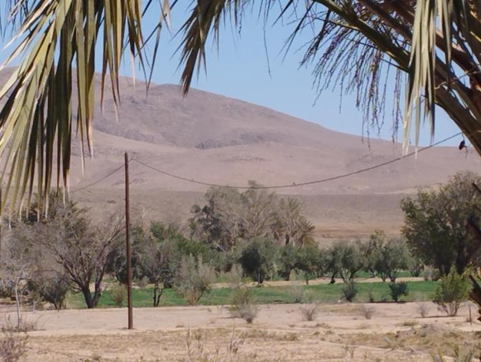 Chez lhabitant Fatima