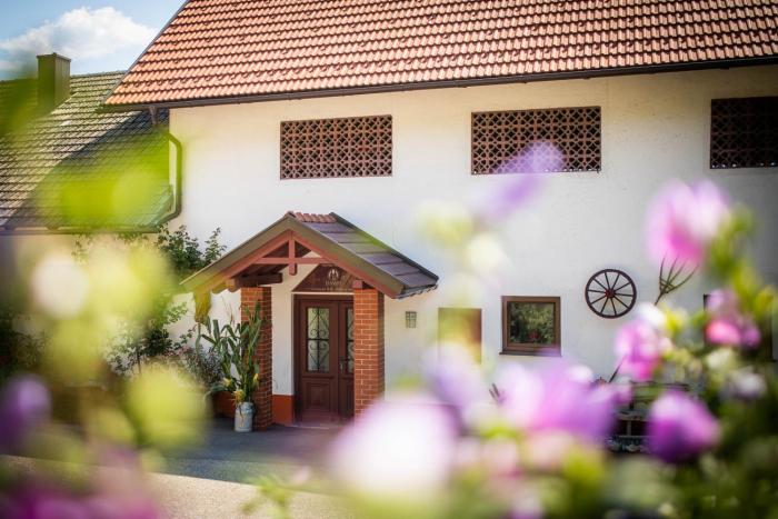 Appartements und Vinoteka DAVID