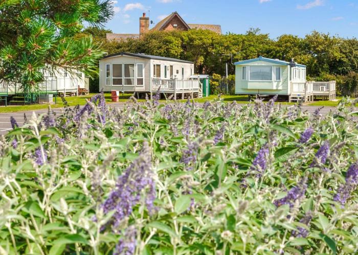 Merryfield And Sandfield