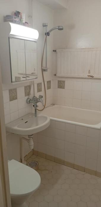 One bedroom apartment with kitchen close to centrum