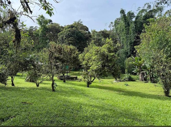 Camping para experiencias únicas