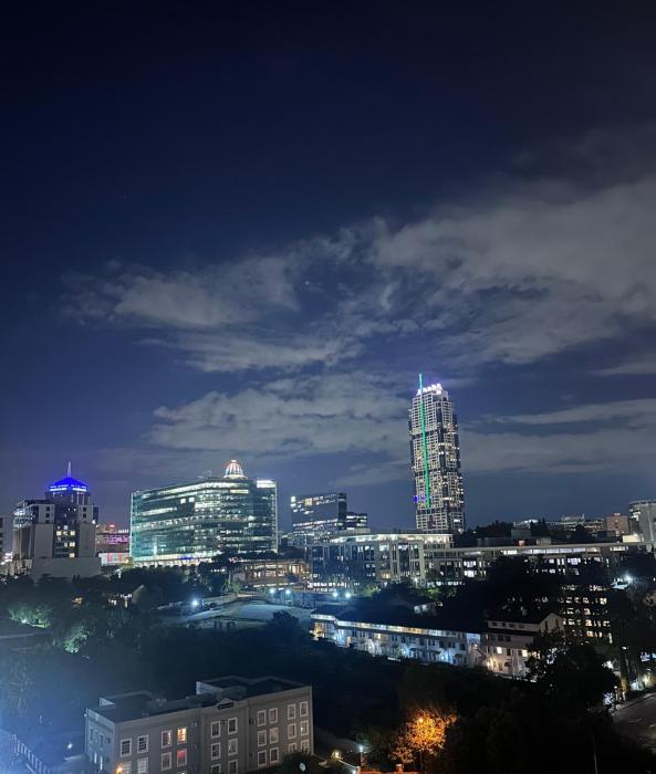 Opulent Sandton Apartment