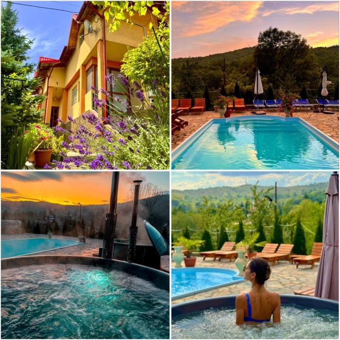 Pensiunea PORTAS RESORT