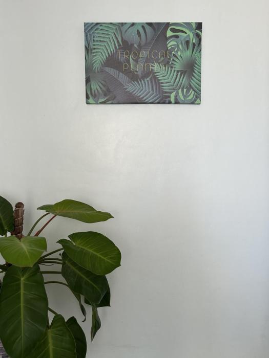 La Maria Travellers Inn