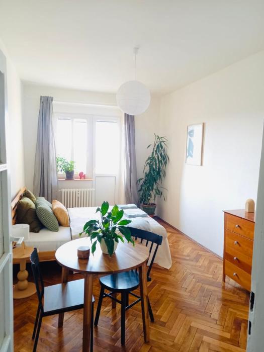 Hezký apartman s balkonem