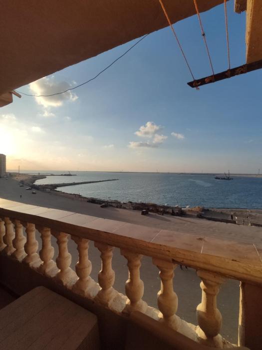 شقة مفروشة في ابوقير