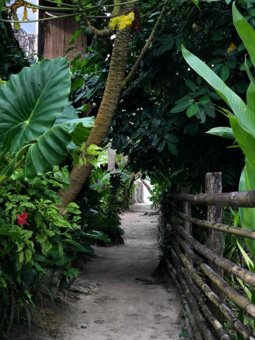 Tuason Inn at Tuason Point Surfing Spot, General Luna