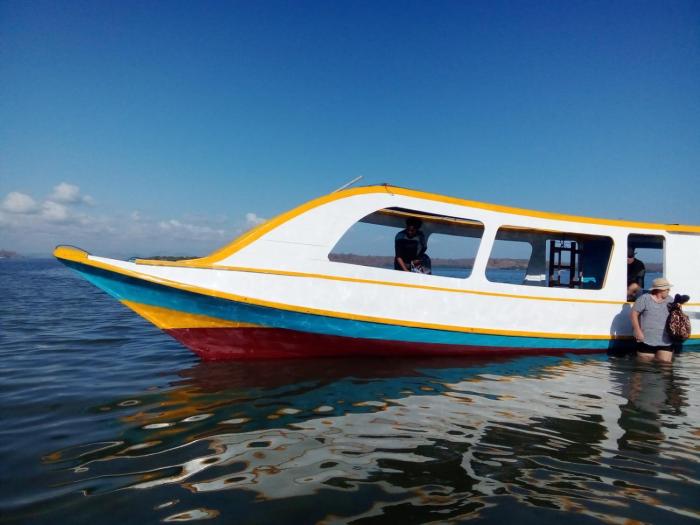 Whale sharks tour agency