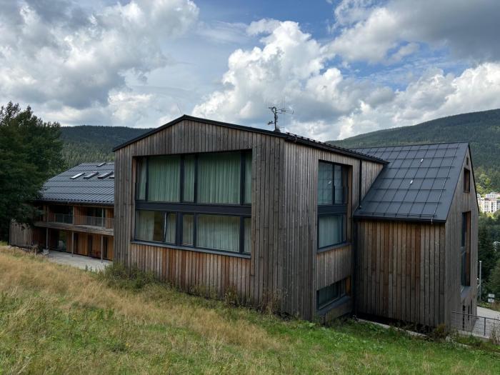 ALPINA Mountain View Apartment